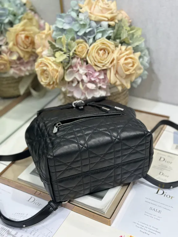 Dior Bag 